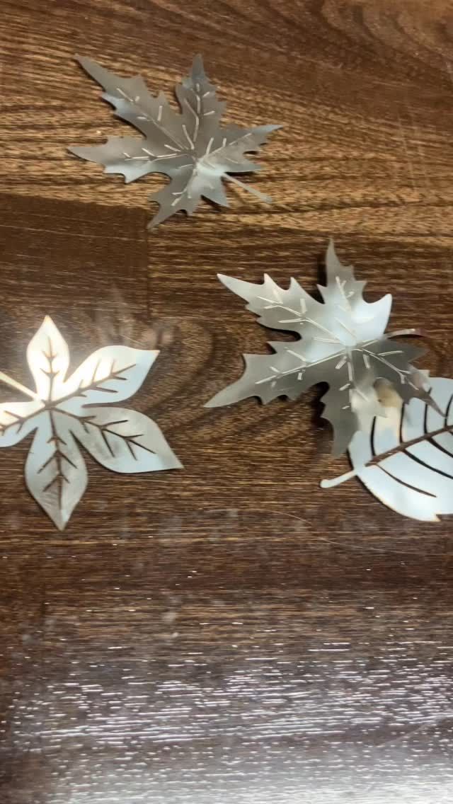 #MTB
#mtbdownhill 
#葉っぱ